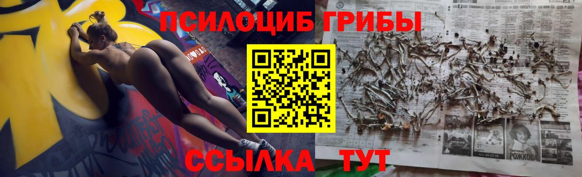 где найти   Вход с VPN  Омск  Псилоцибиновые грибы Magic Shrooms 